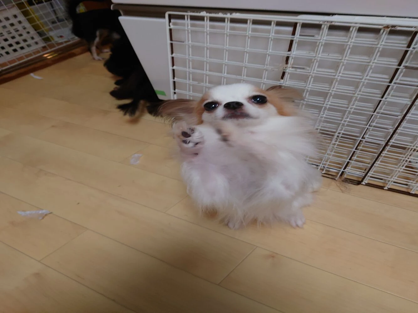 ブログ